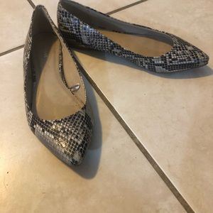 Express Flats
